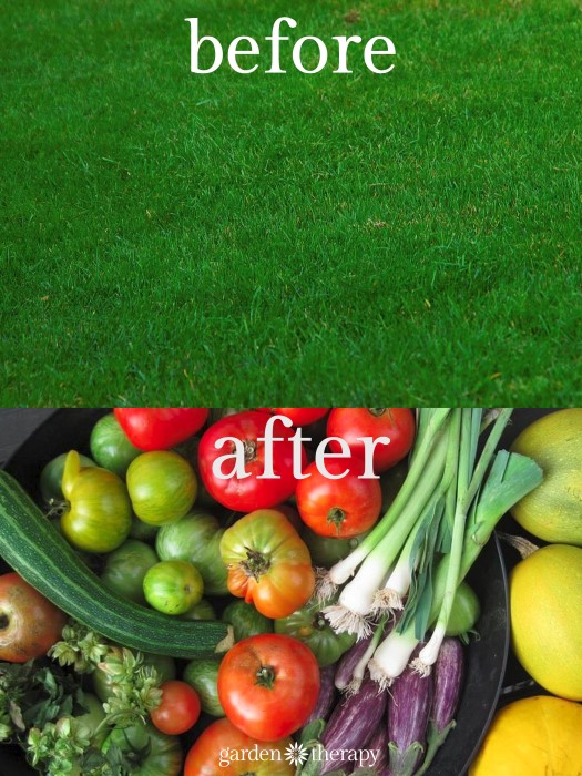 how to turn lawn into a vegetable garden!