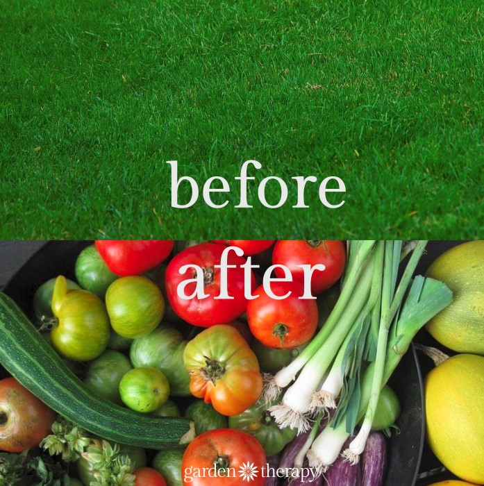 turn energy wasting lawn into nurishing food gardens