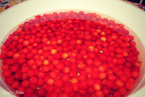 Sour Cherry Jam - Garden Therapy