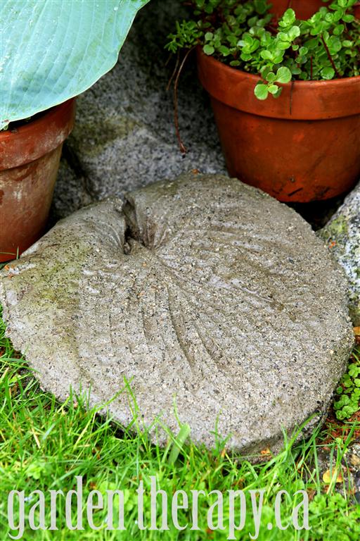 Garden Path Stepping Stones made from Large Hosta Leaf 