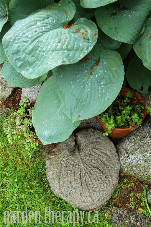 Garden Stepping Stones Molded from Hosta Leaf