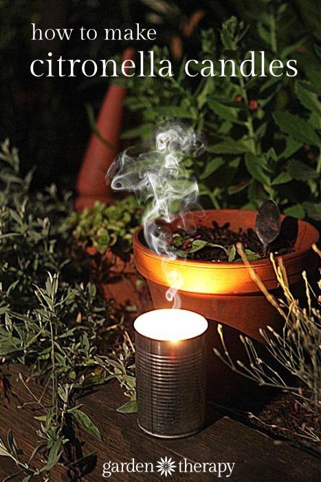 How to make citronella candles from cans and recyled wax