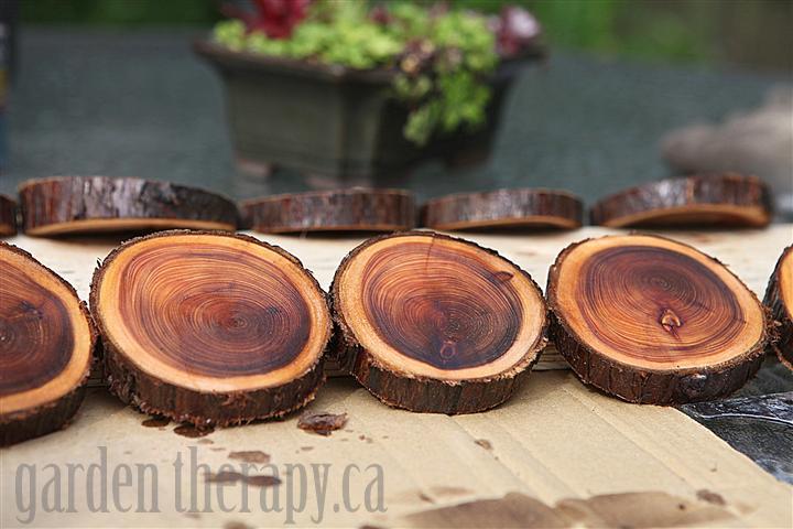 Olive Wood Rustic Coasters Set Natural Edges Branch Rustic