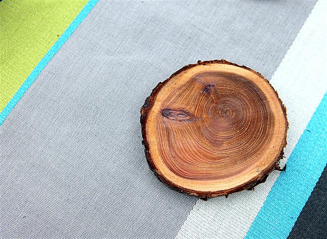 Turning tree branches into coasters DIY project via Garden Therapy #coasters #recycle