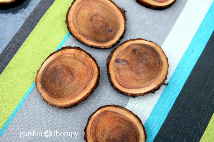 Wood slice coasters on a table