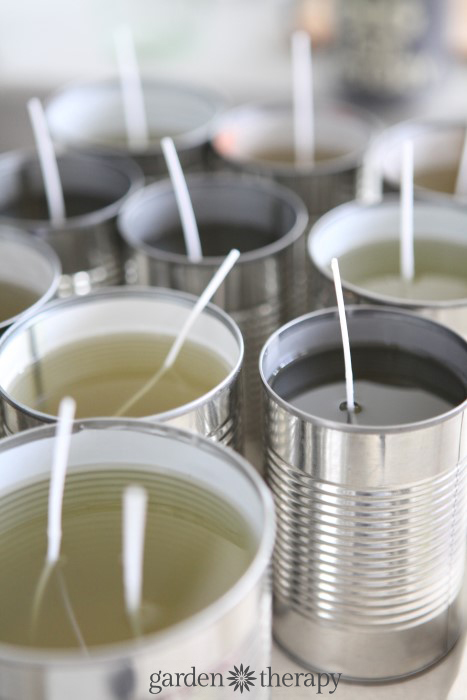easy DIY citronella candles in cans
