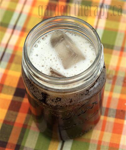 Homemade Root Beer Recipe