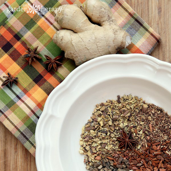 Dried sassafras, sarsparilla, burdock, star anise ingredients for homemade root beer