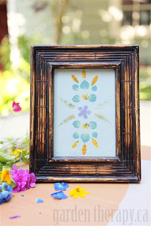 Set of Twelve Framed Pressed Flower Prints - Natural