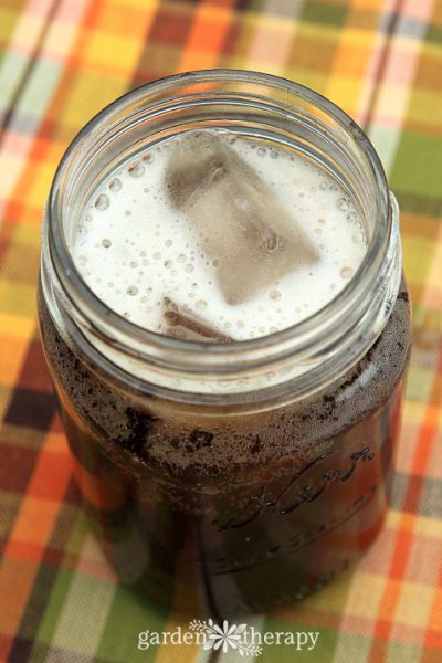 Make Delicious Root Beer at Home