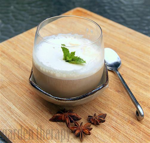 Homemade Root Beer Float 