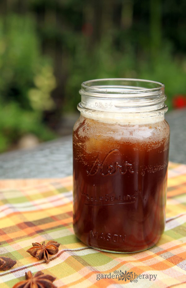 Homemade Root Beer Recipe in a jar with star anise pods in front