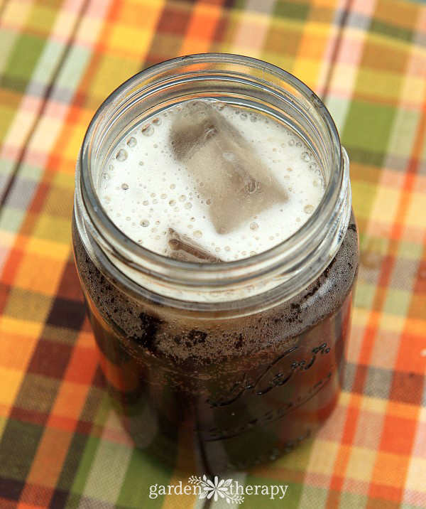 Top view of a jar of root beer with ice