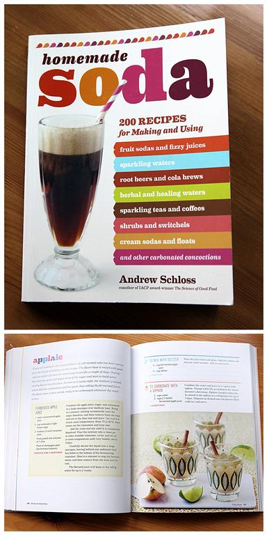 Homemade Soda BooK Review