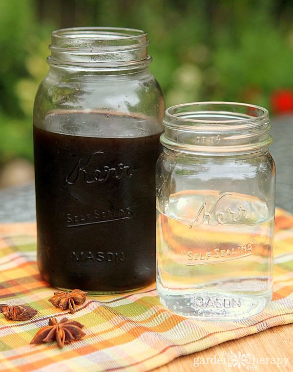 how to make root beer with homemade ingredients