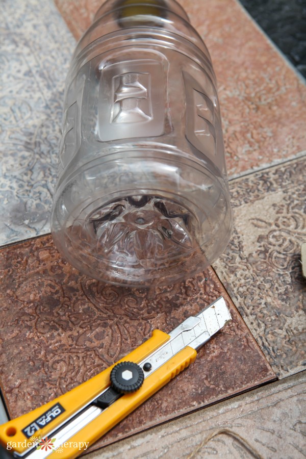 making a wasp trap