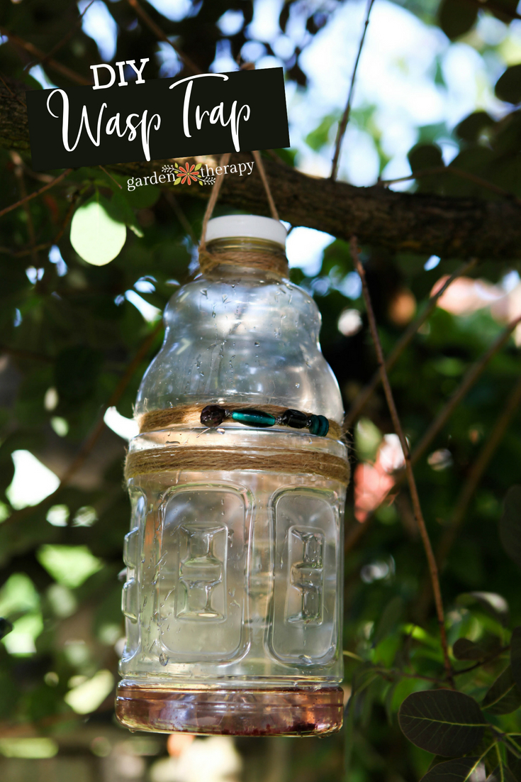 How to Make a Homemade Fly Trap with a Regular Plastic Bottle