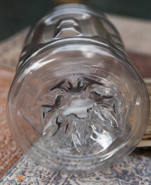 empty bottle to use for a wasp trap