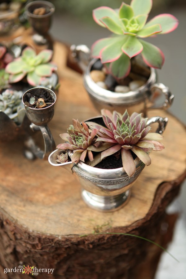 using vintage silver dishes as planters