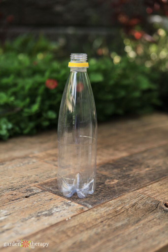 bottle for wasp trap