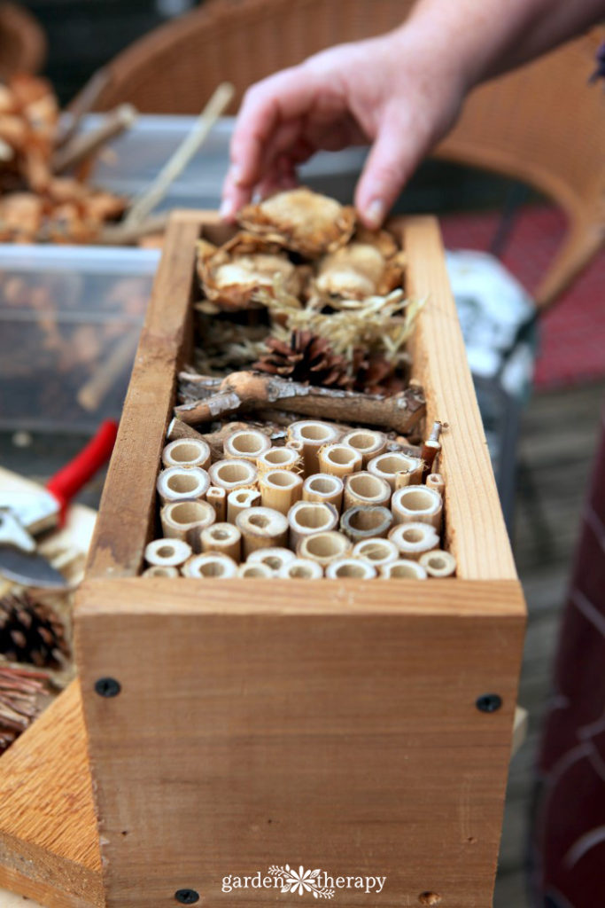 Making a bug hotel that attracts ladybugs, bees, and other beneficial insects