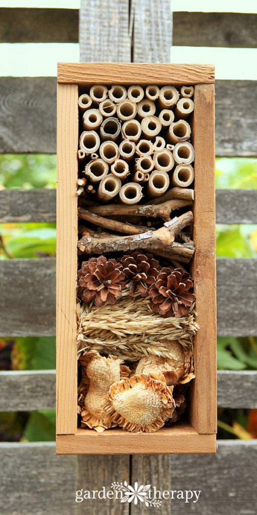 How to create a bug hotel for overwintering beneficial insects in your home garden.