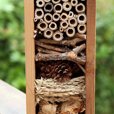 How to create a bug hotel for overwintering beneficial insects in your home garden.