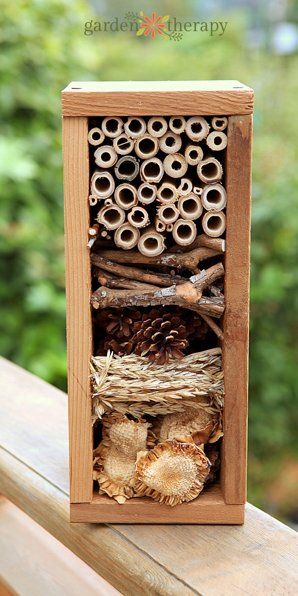 How to create a bug hotel for overwintering beneficial insects in your home garden.