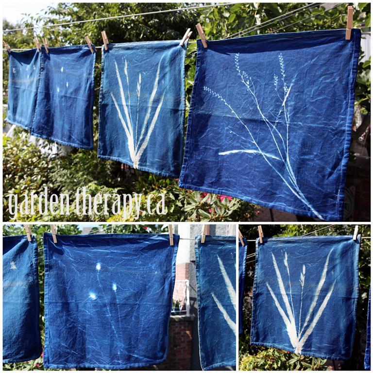 Cyanotype Printing on fabric 