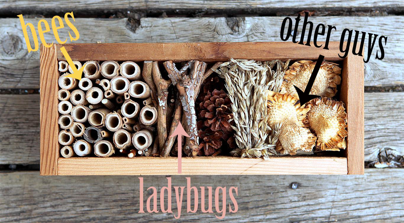 Build A Bug Hotel Garden Therapy