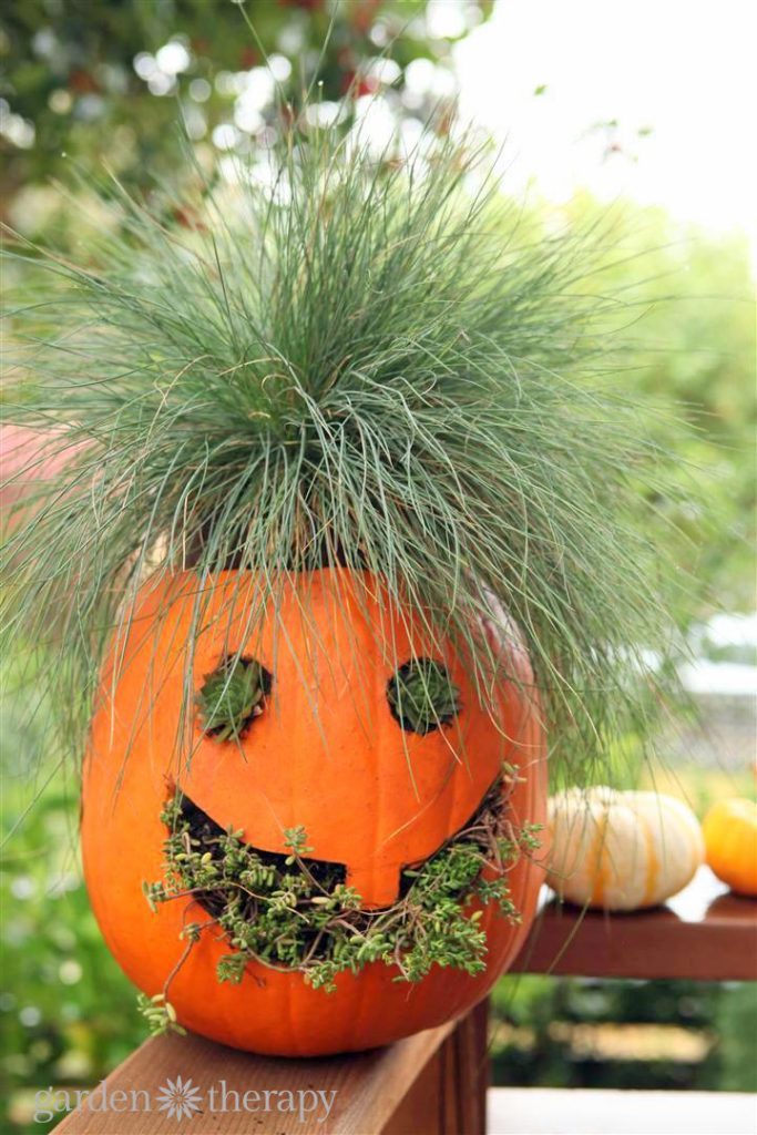 How to Make Jack-o-Planterns: a jack-o-lantern planter!