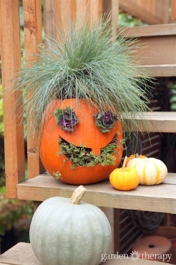 How to Make Jack-o-Planterns creative pumpkin planters