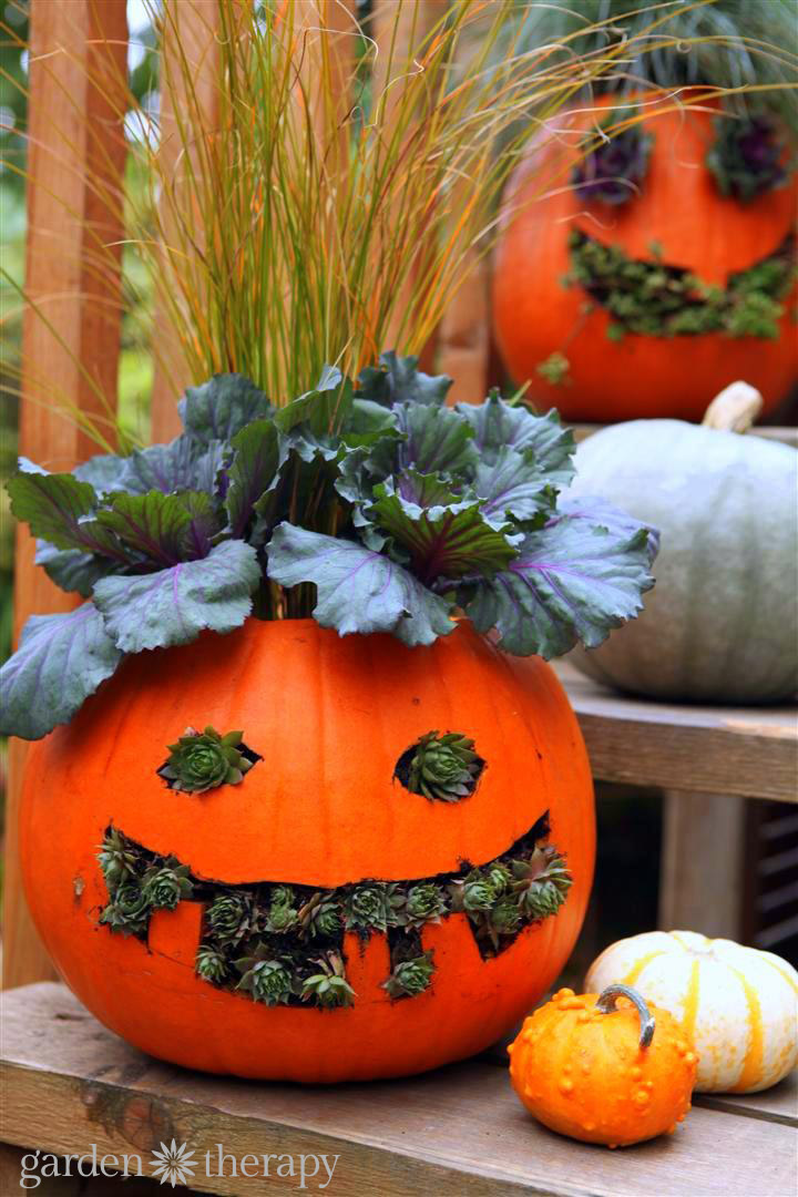 How to Make Jack-o-Planterns from pumpkins and plants