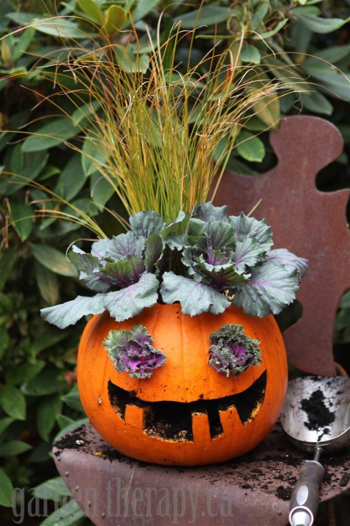 Halloween pumpkin planter