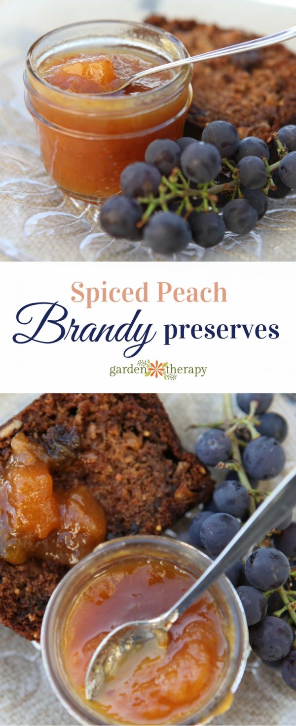 Warm Up to Fall with this Spiced Peach Brandy Preserves Recipe Garden