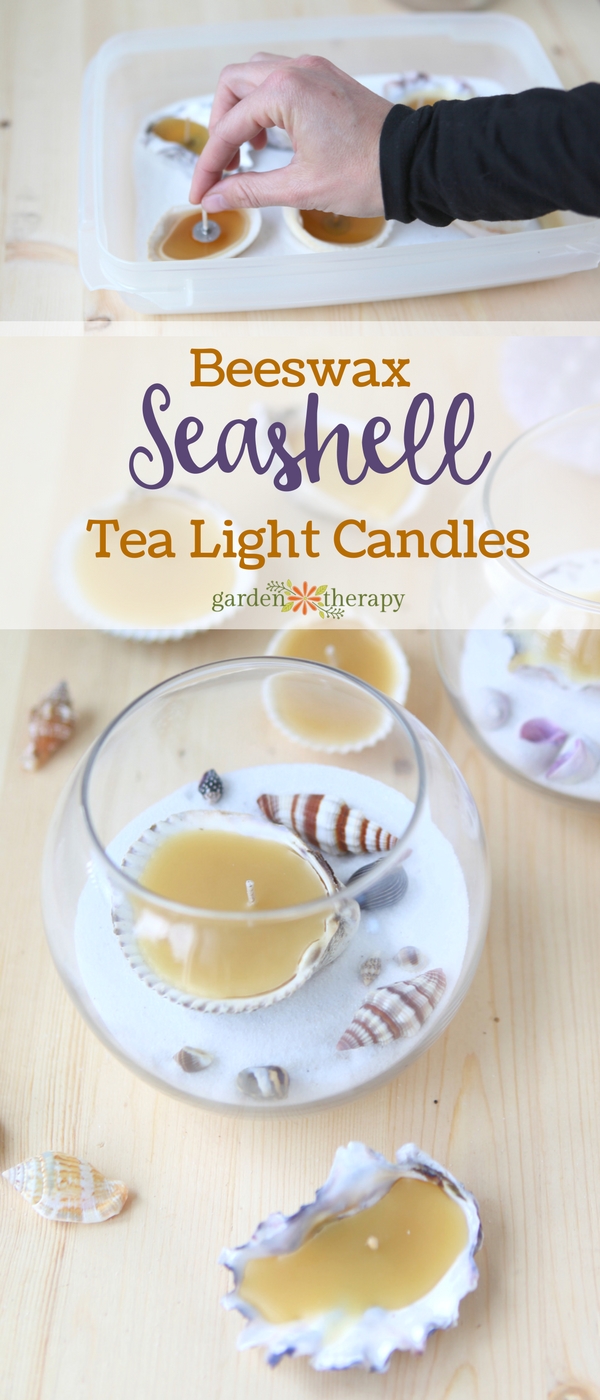 Beeswax Seashell Tea Lights