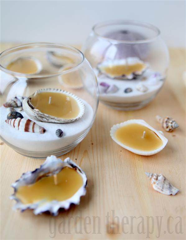 Beeswax Seashell Tealights