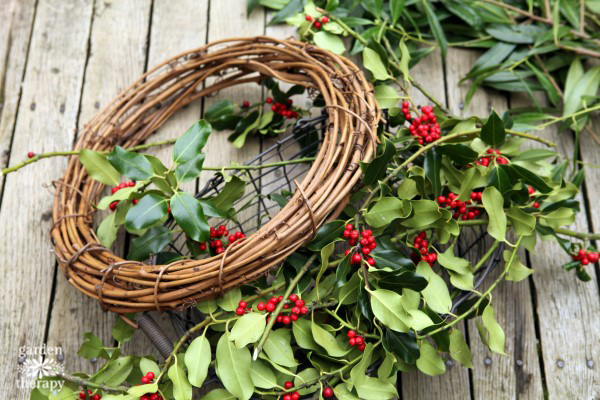 empty vine wreath resting on fresh holly cuttings