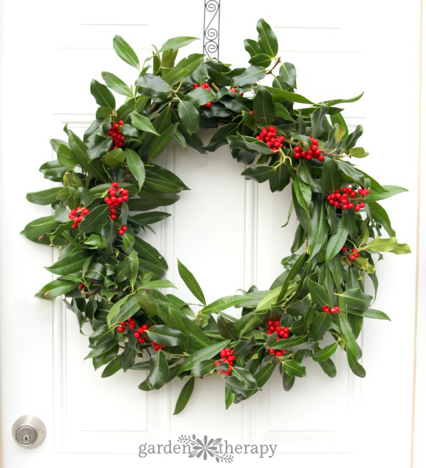 fresh holly wreath dotted with bright red berries