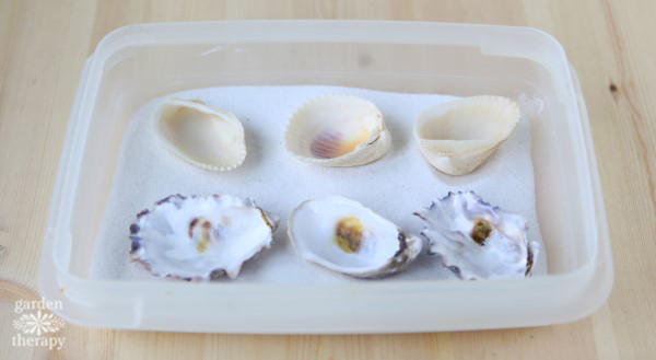 Beeswax Seashell Tea Lights