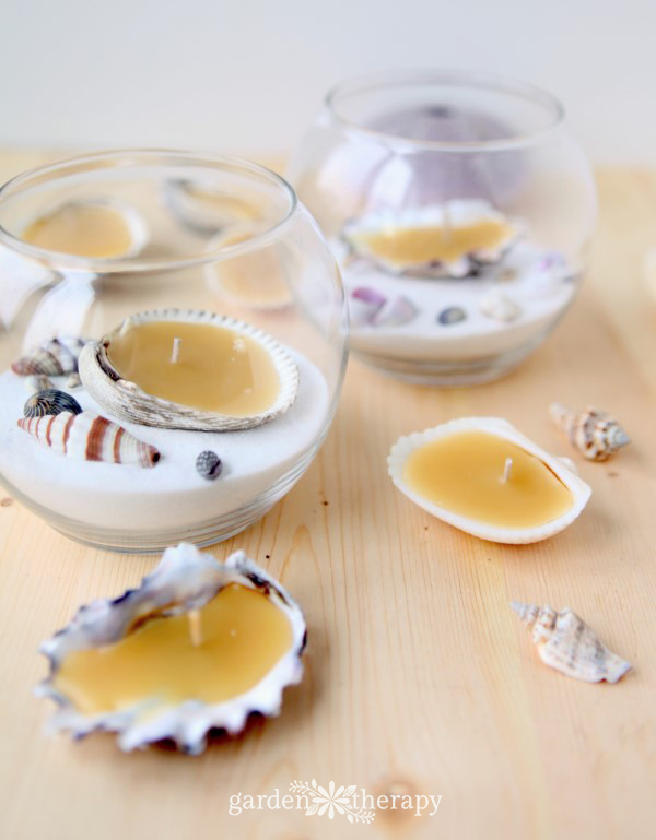 Beeswax Seashell Tea Lights