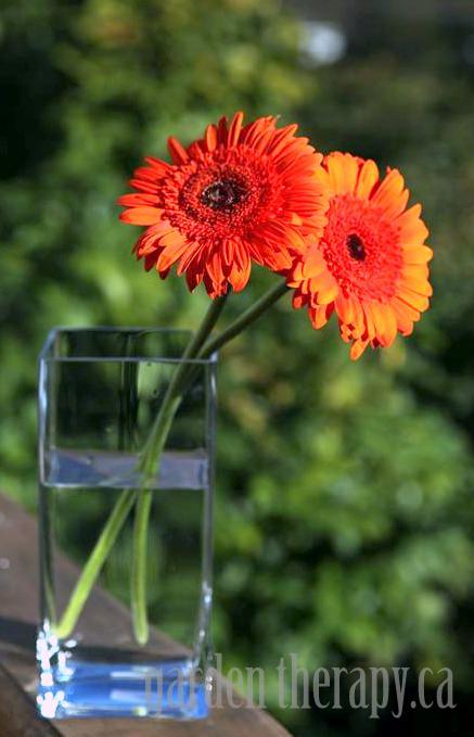 Orange Gerbera Arrangement