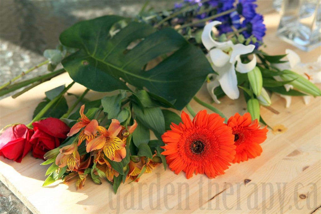 Orange and White flowers