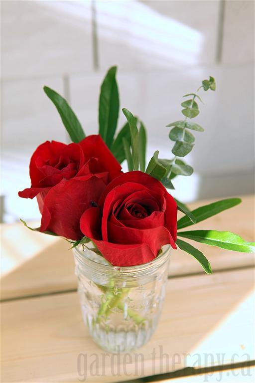 Red Roses and Eucalyptus in Mason Jar