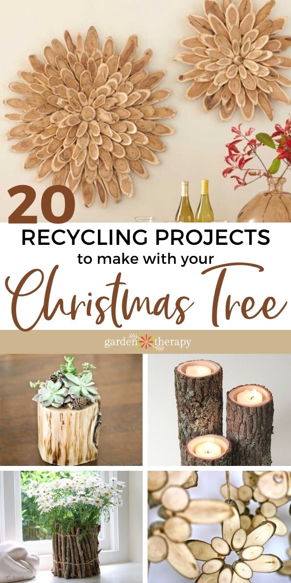 What to Do With a Christmas Tree 20 Crafty Recycling Projects