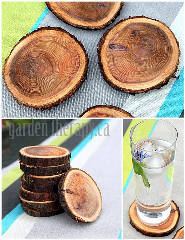 Branch Coasters