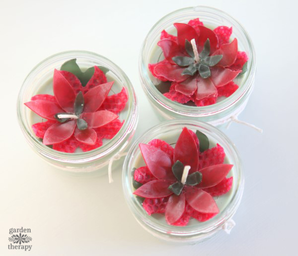 These poinsettia candles make for a fun handmade Christmas project. They are made with beeswax and soy wax and scented with festive essential oils. 