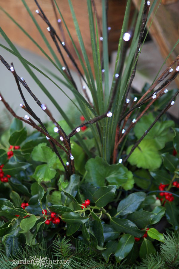 Christmas Holiday Planter