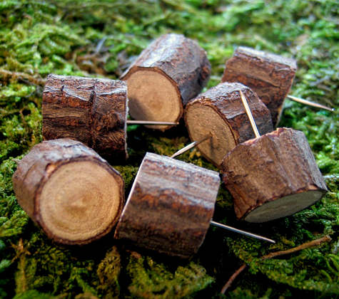 closeup of wooden twig push pins with green backdrop