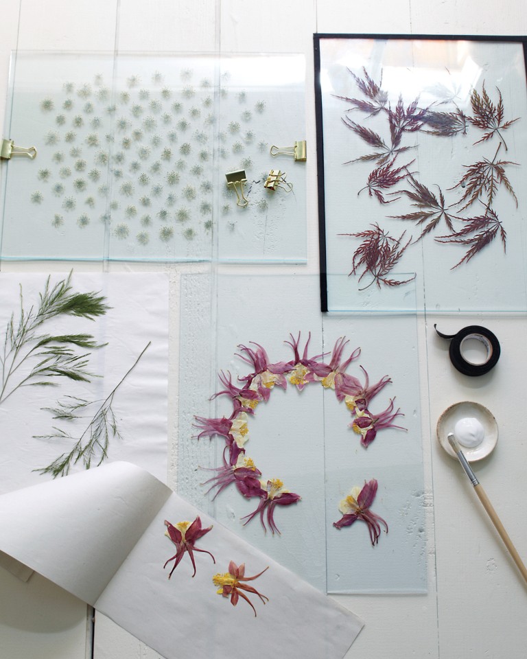 A Modern Way to Display Pressed Flowers